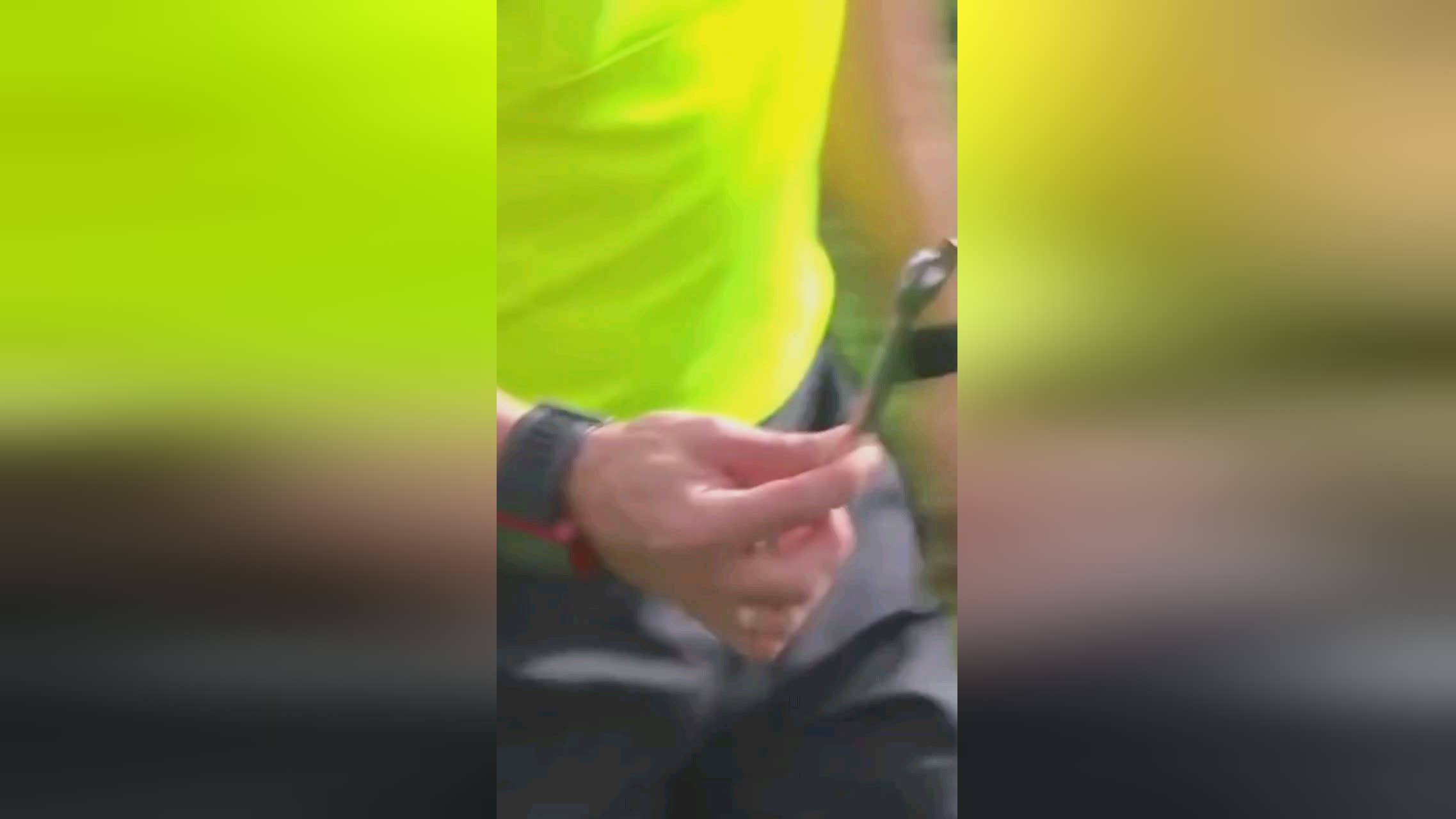 皇家